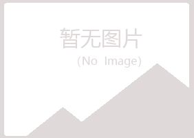 黄山黄山未来金属有限公司